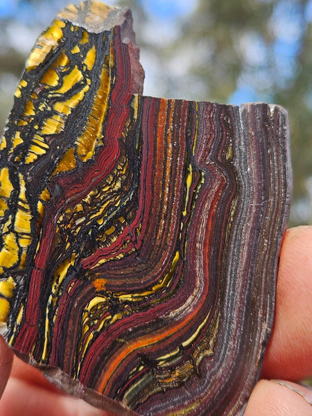 Polished Tiger Iron slab TI220
