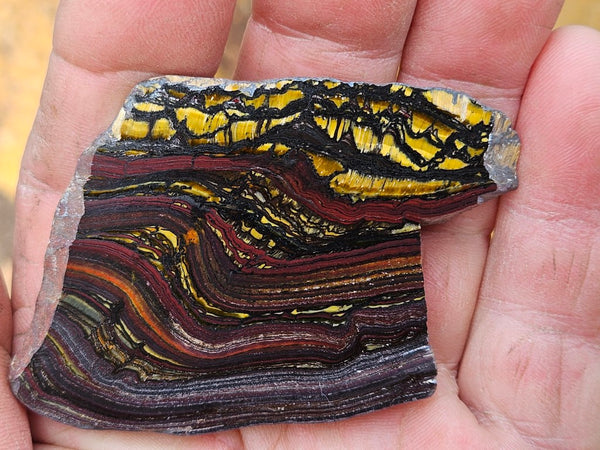 Polished Tiger Iron slab TI220
