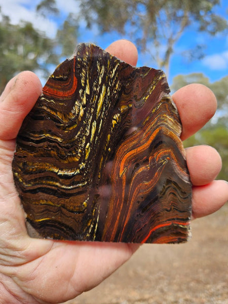 Polished Tiger Iron slab TI212