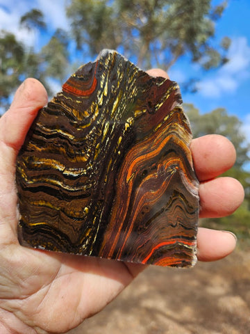Polished Tiger Iron slab TI212
