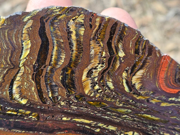 Polished Tiger Iron slab TI212