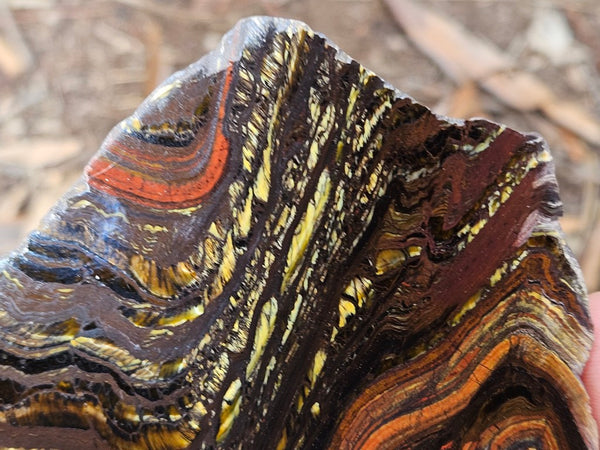 Polished Tiger Iron slab TI212