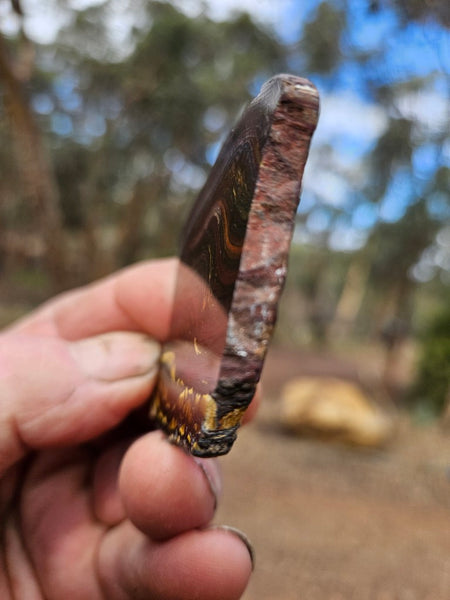 Polished Tiger Iron slab TI220