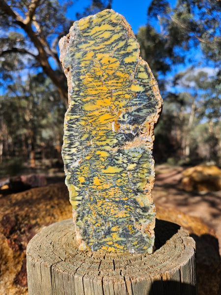 Polished Dendritic Opal DO241