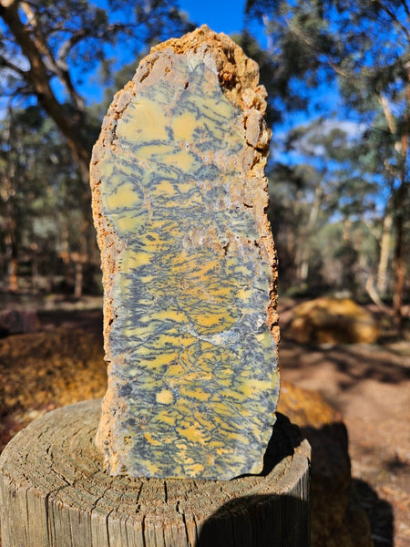 Polished Dendritic Opal DO241