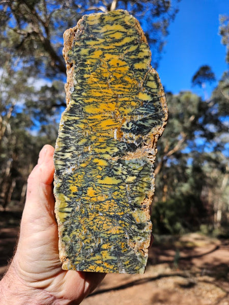 Polished Dendritic Opal DO241