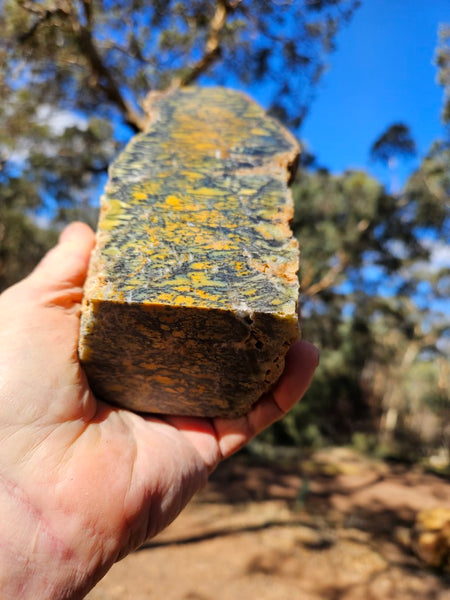 Polished Dendritic Opal DO241