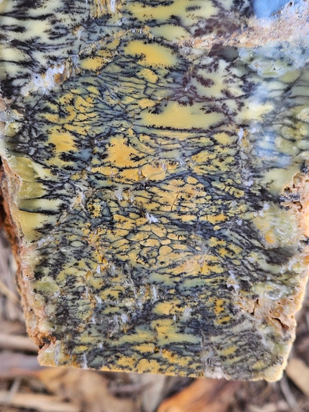 Polished Dendritic Opal DO241