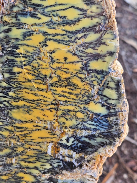 Polished Dendritic Opal DO241