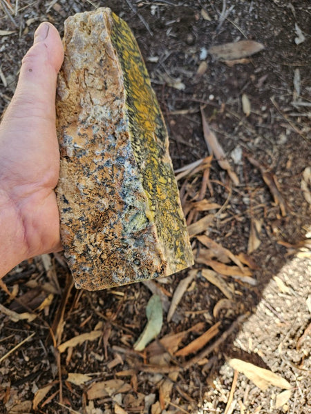 Polished Dendritic Opal DO241