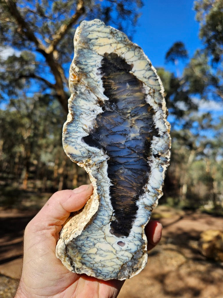 Polished Dendritic Opal DO242