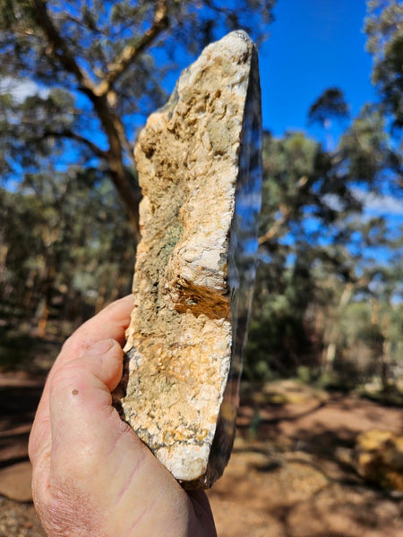 Polished Dendritic Opal DO242