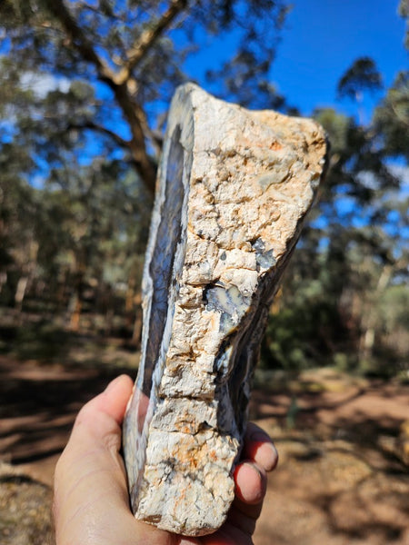 Polished Dendritic Opal DO242