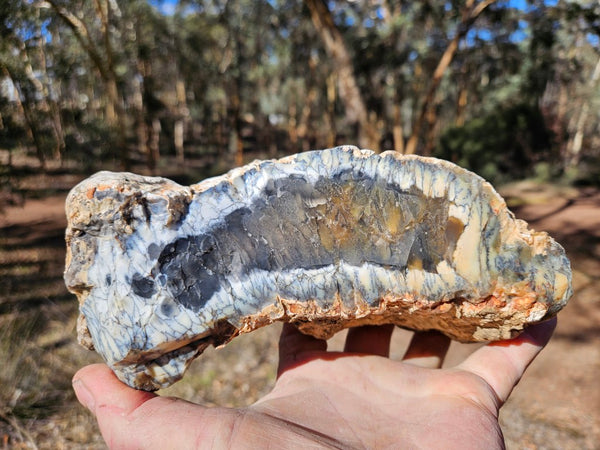 Polished Dendritic Opal DO242