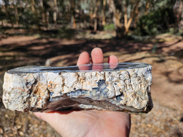 Polished Dendritic Opal DO242