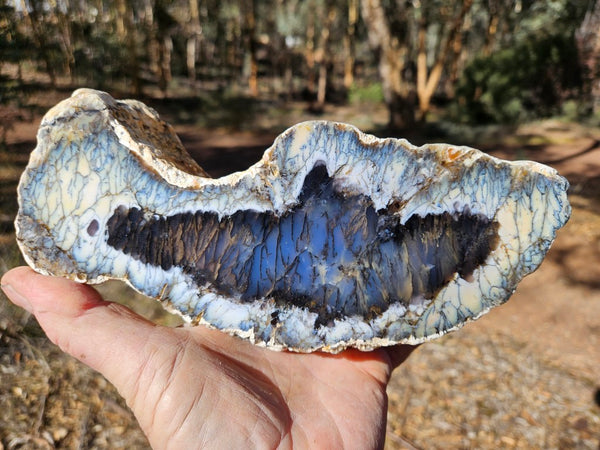 Polished Dendritic Opal DO242