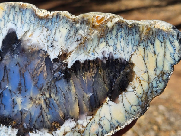 Polished Dendritic Opal DO242