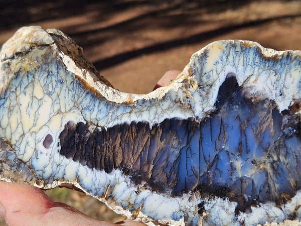 Polished Dendritic Opal DO242
