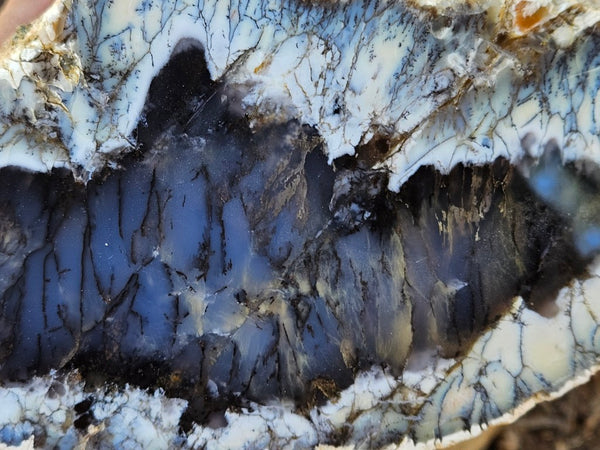 Polished Dendritic Opal DO242