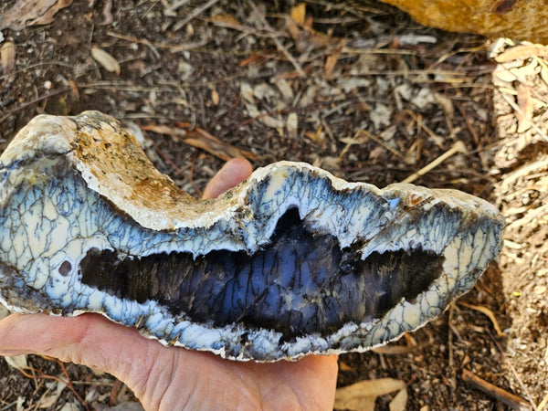 Polished Dendritic Opal DO242