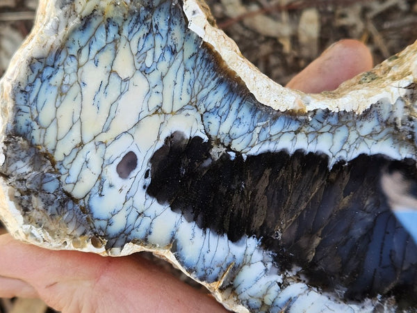 Polished Dendritic Opal DO242