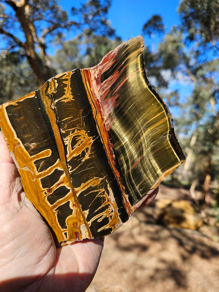 Polished Tiger Eye  TE495