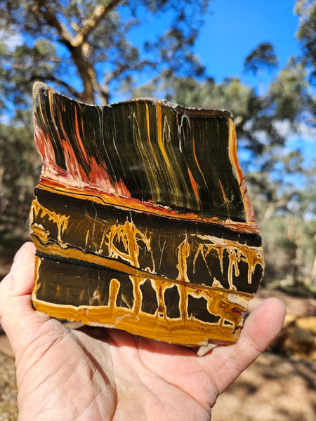 Polished Tiger Eye  TE495