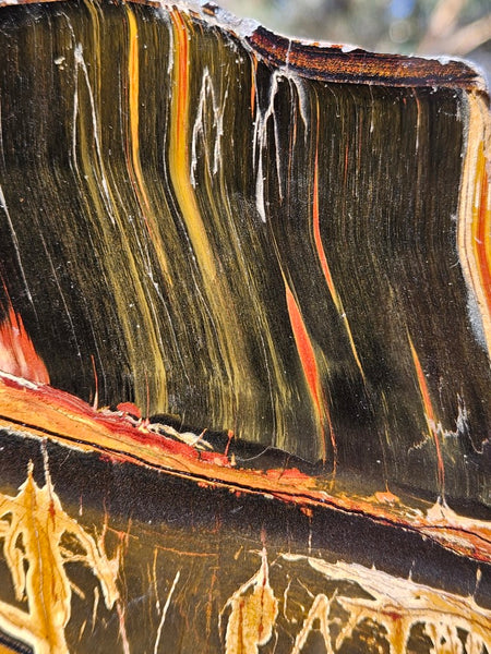 Polished Tiger Eye  TE495