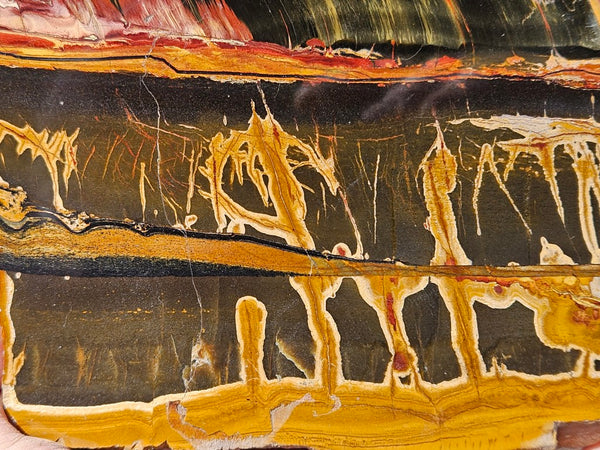 Polished Tiger Eye  TE495