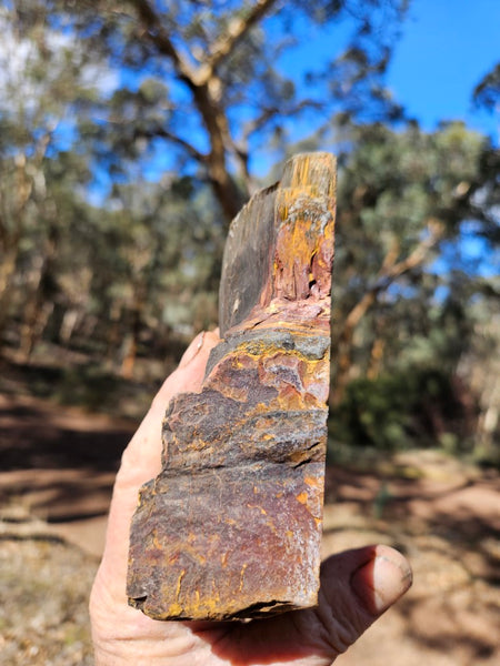 Polished Tiger Eye  TE495