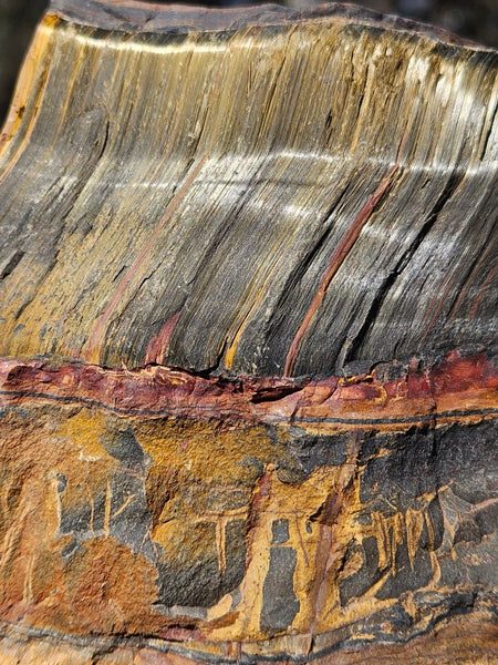 Polished Tiger Eye  TE495