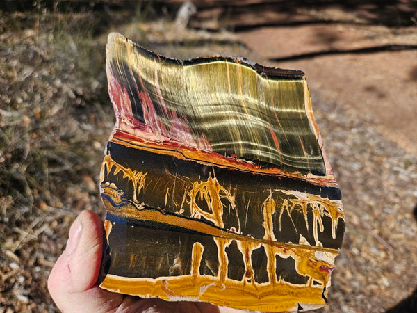 Polished Tiger Eye  TE495