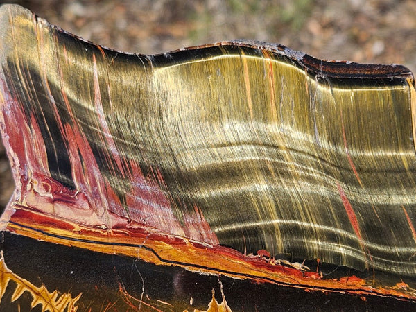 Polished Tiger Eye  TE495