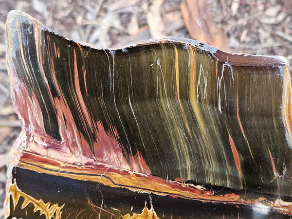 Polished Tiger Eye  TE495