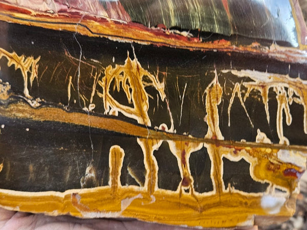 Polished Tiger Eye  TE495