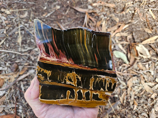 Polished Tiger Eye  TE495