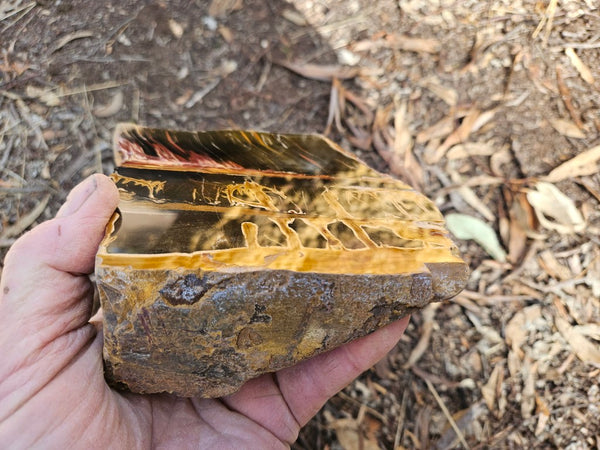 Polished Tiger Eye  TE495