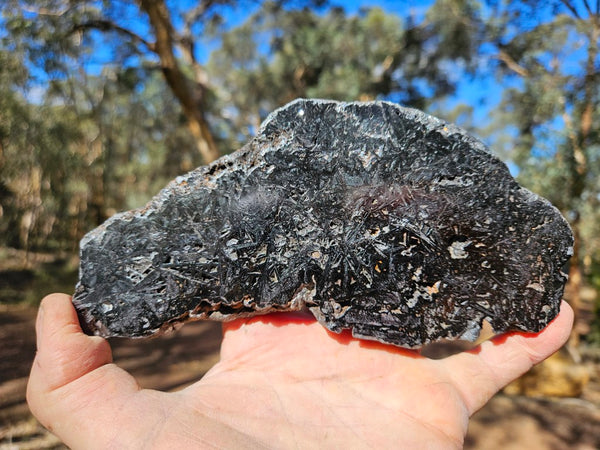 Reticulated Hematite slab HEM151