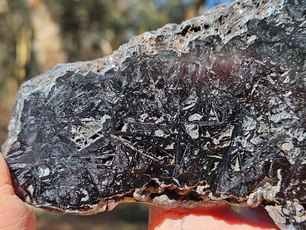 Reticulated Hematite slab HEM151