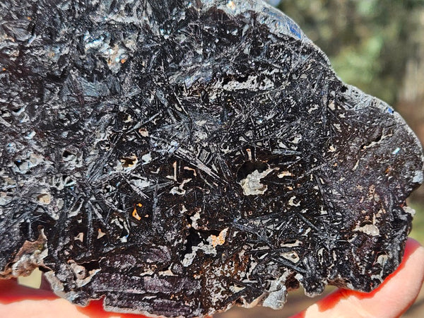 Reticulated Hematite slab HEM151