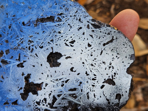 Reticulated Hematite slab HEM151