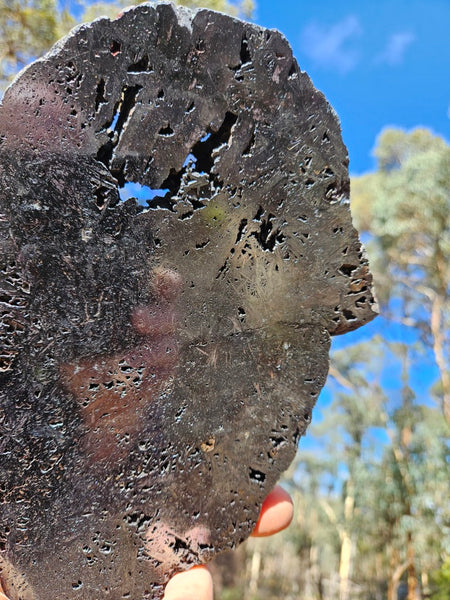 Reticulated Hematite slab HEM152