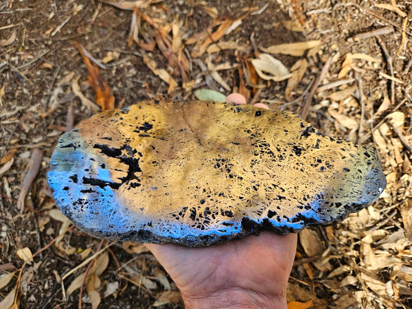 Reticulated Hematite slab HEM152
