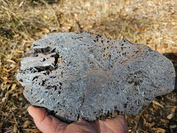 Reticulated Hematite slab HEM152