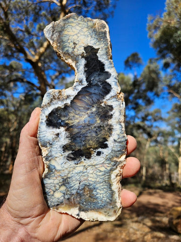 Polished Dendritic Opal slab DO243