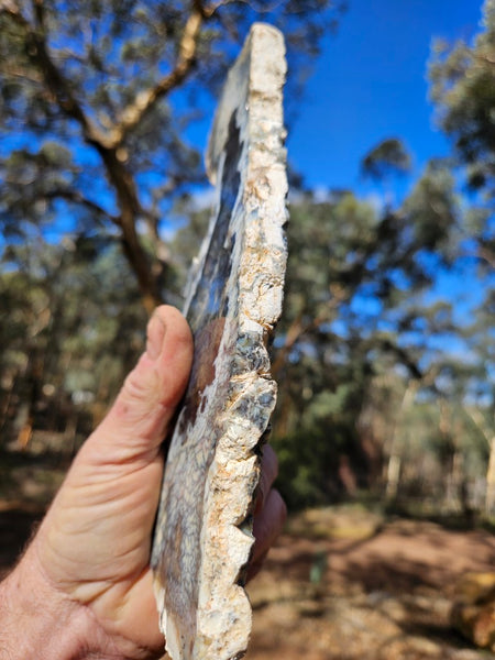 Polished Dendritic Opal slab DO243