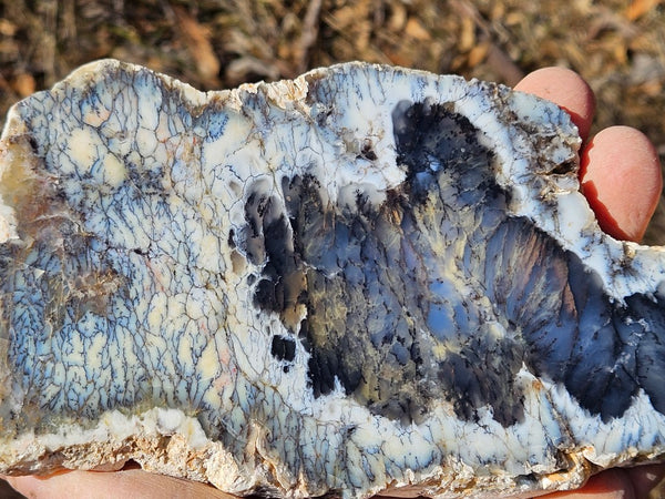 Polished Dendritic Opal slab DO243
