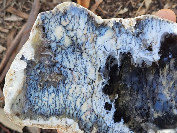 Polished Dendritic Opal slab DO243
