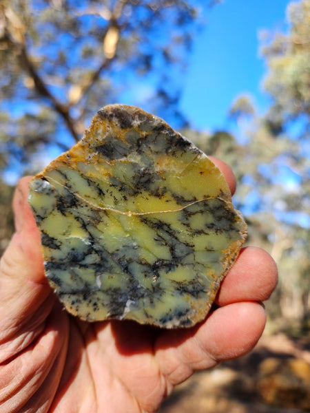 Polished Dendritic Opal DO153