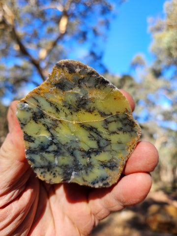 Polished Dendritic Opal DO153